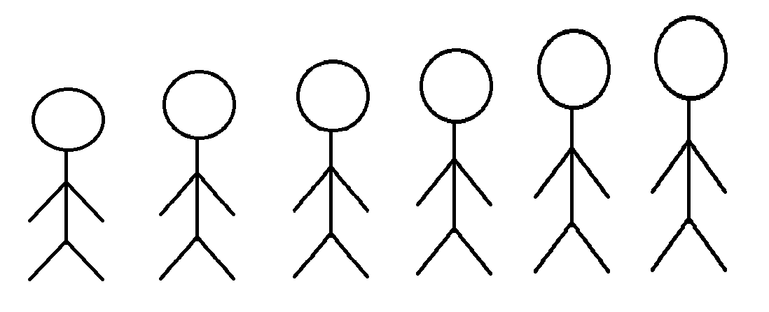 身高排列.png